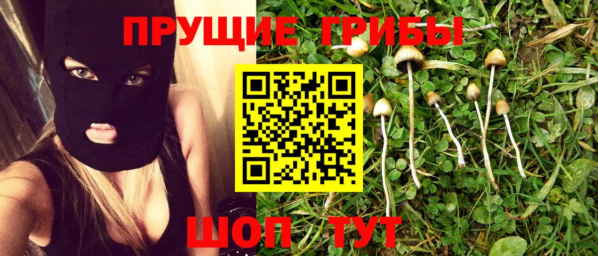 Галлюциногенные грибы MAGIC MUSHROOMS Магнитогорск
